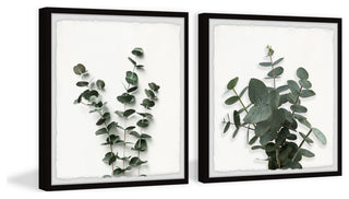 Eucalyptus Leaves Diptych, 24"x12"