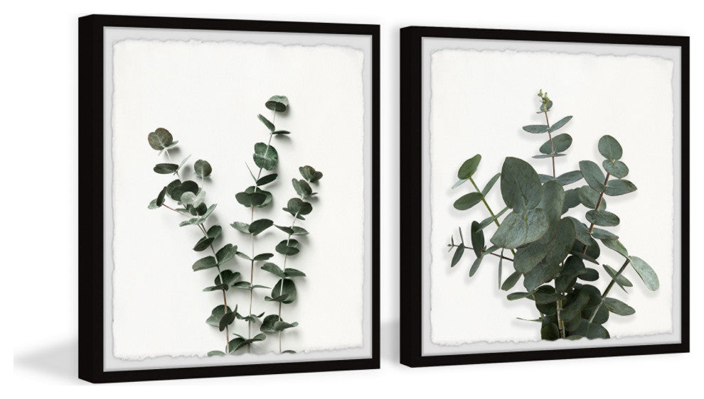 Eucalyptus Leaves Diptych, 24"x12"