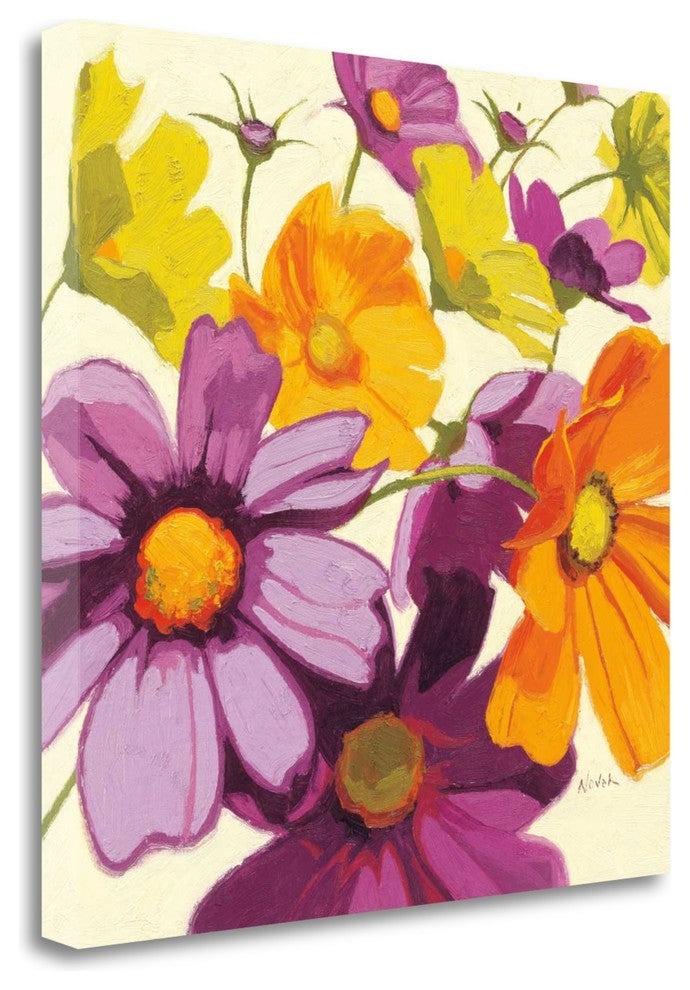 "Cosmos I" By Shirley Novak, Giclee Print on Gallery Wrap Canvas, Ready to Hang