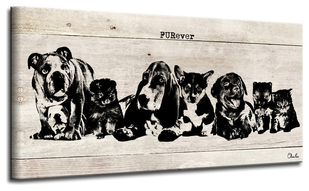 Ready2HangArt ''FURever'' Wrapped Canvas Animal Wall Art, 12"x24"