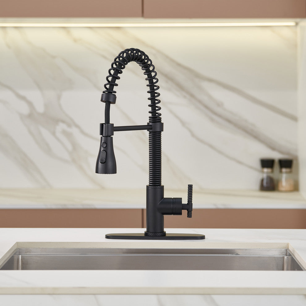 Single Handle Kitchen Sink Faucet Pull-Down Sprayer, 360 Swivel, 3 Functions, Matte Black