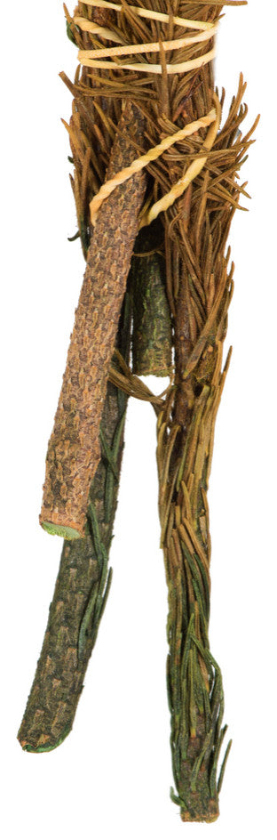 Brunia Stem Bundles, Preserved , Autumn, 12-16"
