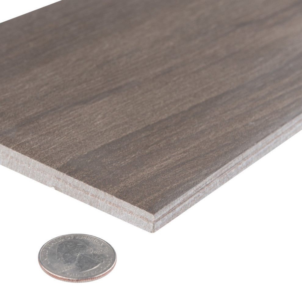 Mt Royale Pecan Porcelain Floor and Wall Tile Sample