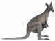 Australian Outback Kangaroo Statue