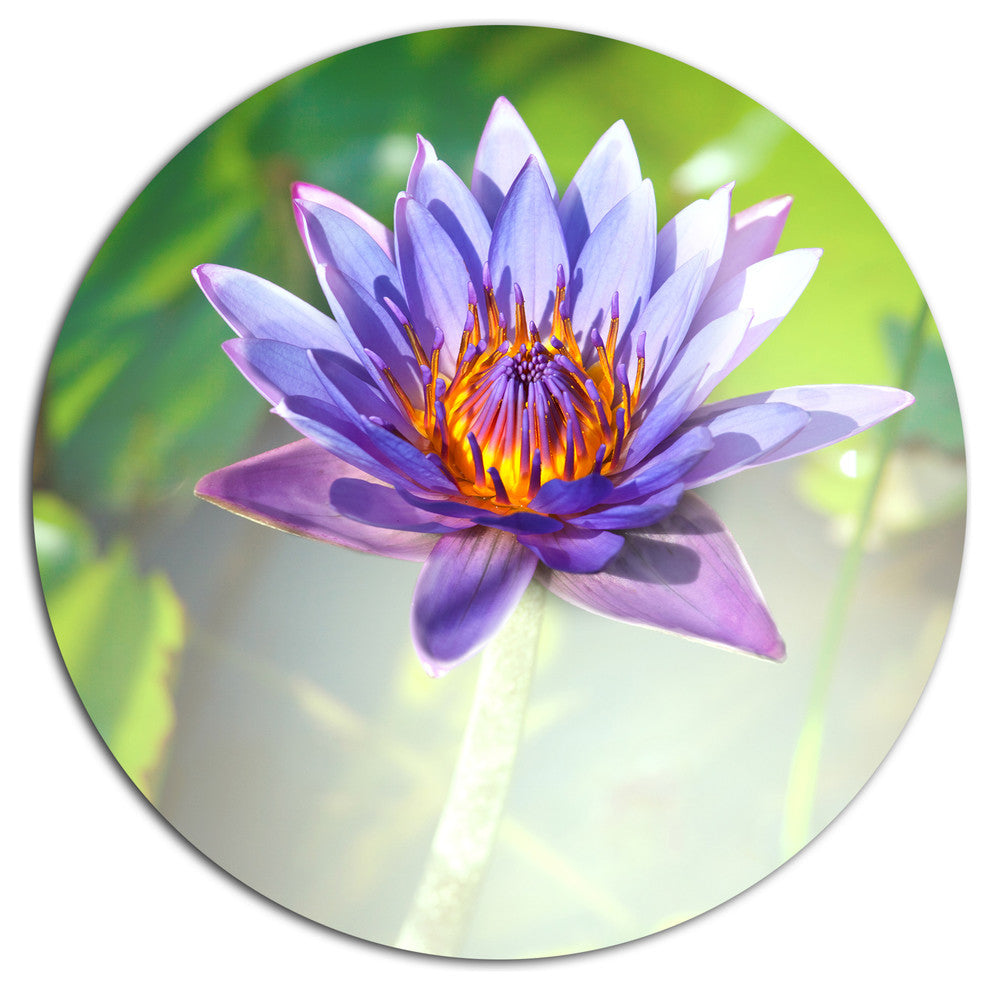 Huge Purple Lotus On Green Background, Flower Round Wall Art, 23"