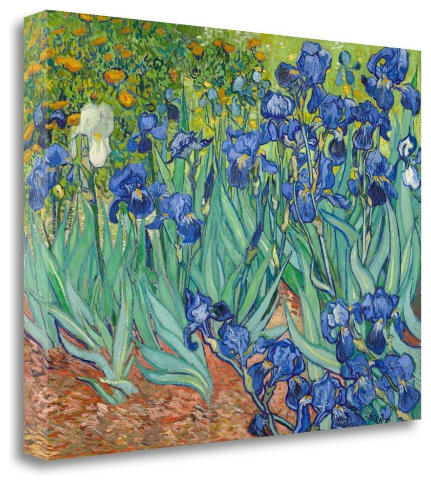 "Irises 1889" By Vincent Van Gogh, Giclee Print on Gallery Wrap Canvas