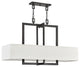 Hinkley Hampton Medium Four Light Linear, Buckeye Bronze