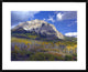 "Fall colors at Gunnison National Forest, Colorado"  by Tim Fitzharris, 32x26"