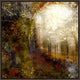 My Illumination, 37.25"x37.25", Espresso Natural Wood Gallery Floater