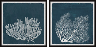 Tropical Corals Diptych, 2-Piece Set, 18x18 Panels