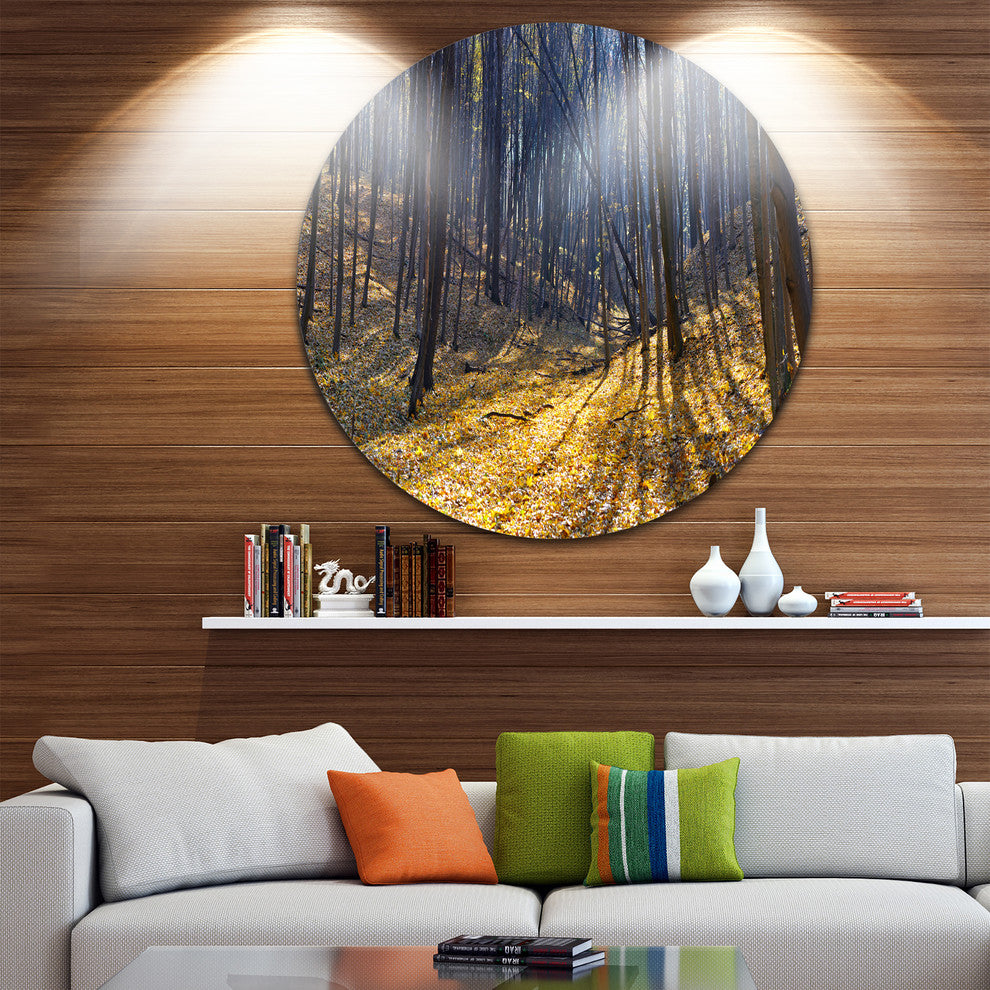 Thick Autumn Forest Woods, Forest Round Wall Art, 23"