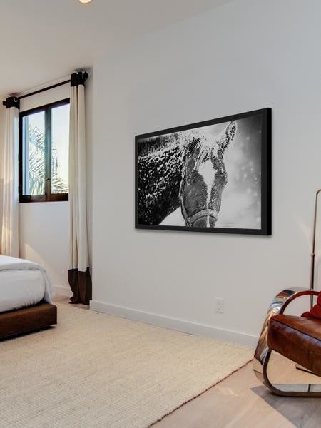 "White Horse Mask" Framed Painting Print, 36"x24"