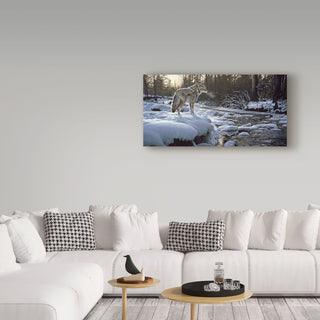 Ron Parker 'Winter Creek Coyote' Canvas Art, 19"x10"