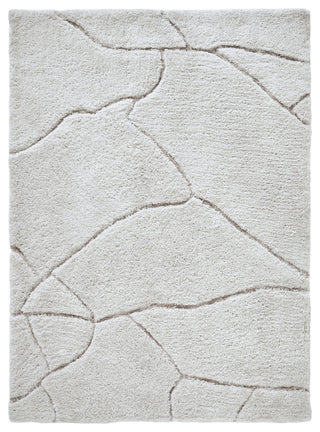 Allen 5'3" X 7'3" Ft Machine Tufted Rug