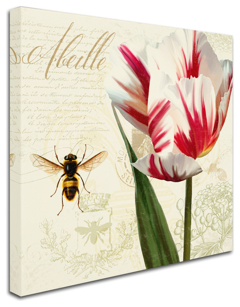 Tina Lavoie 'Natural History Sketchbook II' Canvas Art, 18" x 18"