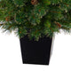 50" Golden Washington Pine Faux Xmas Tree W/Lights, Pinecones, Bendable Branches