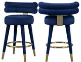 Fitzroy Velvet Upholstered Counter Height Stool (Set of 2)