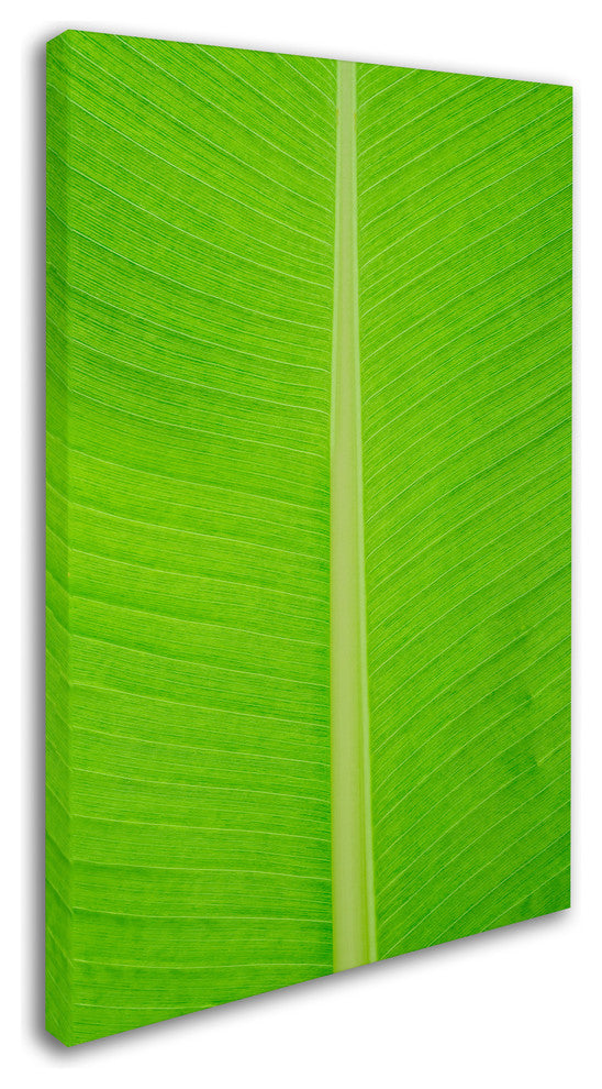 Cora Niele ''Leaf Texture I'' Canvas Art