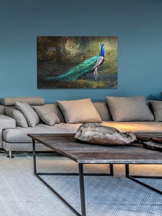 "Jungle Stream Peacock" Print on Canvas by Chris Vest