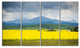 Farm House in Field Of Canola, Landscape Canvas Art Print, 48"x28", 4 Panels
