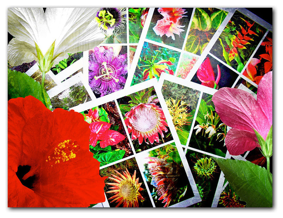 Tropical Flowers Canvas Wall Art