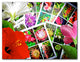 Tropical Flowers Canvas Wall Art