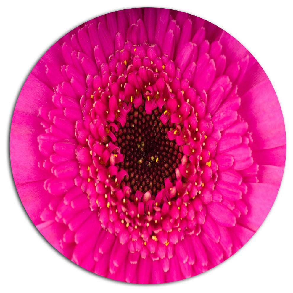 Macro Photo Of Gerbera Flower, Flowers Round Wall Art, 11"