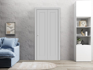 Sliding Closet Bi-fold Doors 60 x 96 | Quadro 4111 Matte Grey