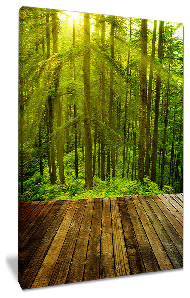 "Golden Sunlight in Pine Forest" Landscape Canvas Photo Print, 1 Panel, 28"x60"