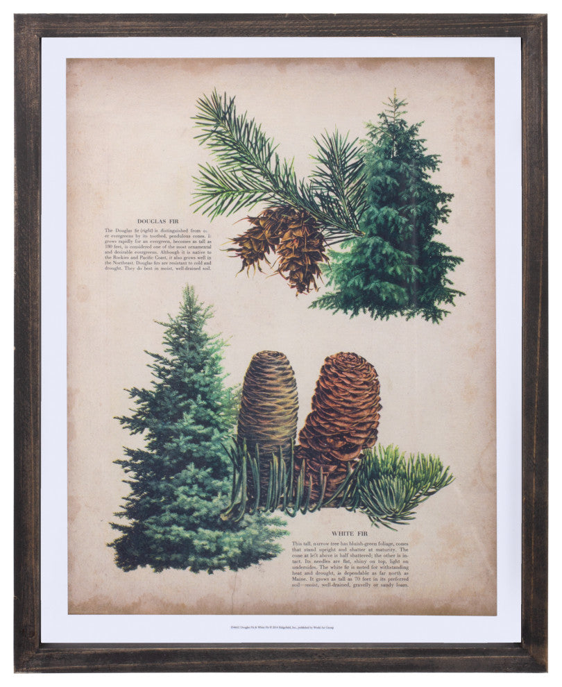 Framed Pine Print, 4-Piece Set