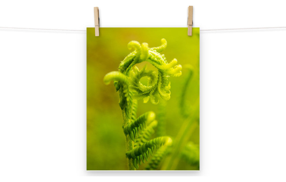 Nature's Perfection Nature Photo, Botanical Unframed Wall Art Print, 11" X 14"