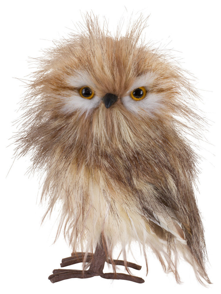 Owl Decor, 4-Piece Set