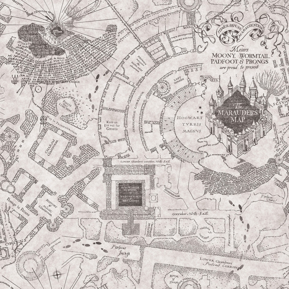 Grey Harry Potter Marauder's Map Peel & Stick Wallpaper