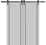 Sturdy Double Barn Door 60 x 80 with | Planum 0016 Grey Matte with  | 13FT