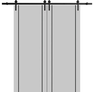 Sturdy Double Barn Door 60 x 80 with | Planum 0016 Grey Matte with  | 13FT