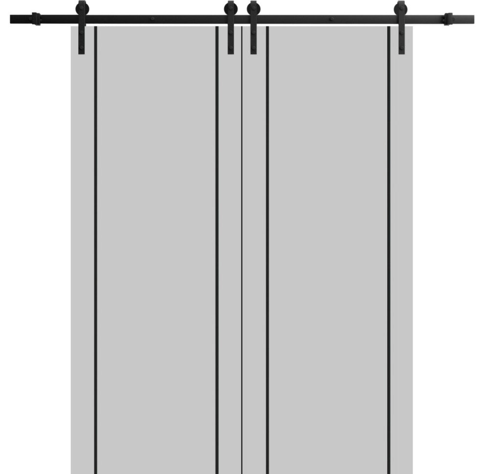 Sturdy Double Barn Door 60 x 80 with | Planum 0016 Grey Matte with  | 13FT