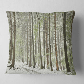 Spring Beech Forest Scenery Landscape Photo Throw Pillow, 16"x16"
