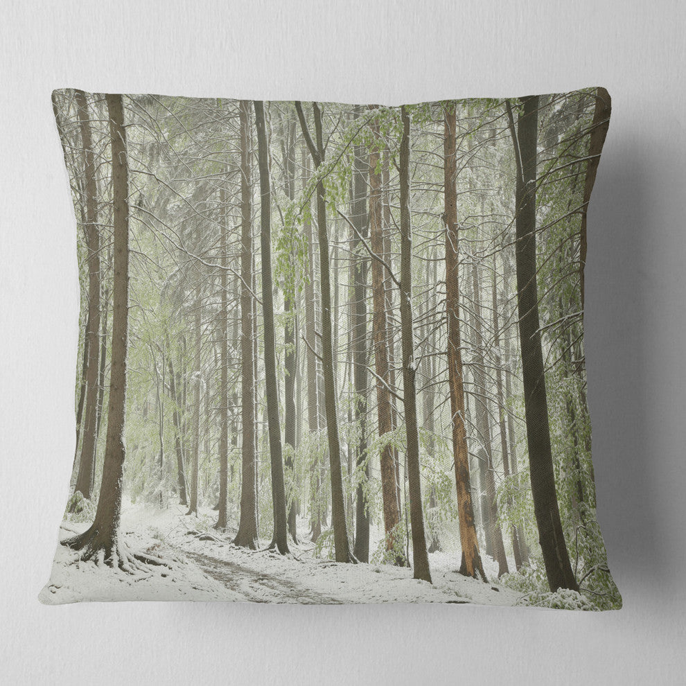 Spring Beech Forest Scenery Landscape Photo Throw Pillow, 16"x16"