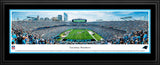 Carolina Panthers, End Zone, Deluxe Frame