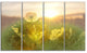 Dandelion Blooming Flower in Field, Floral Canvas Art Print, 48"x28", 4 Panels