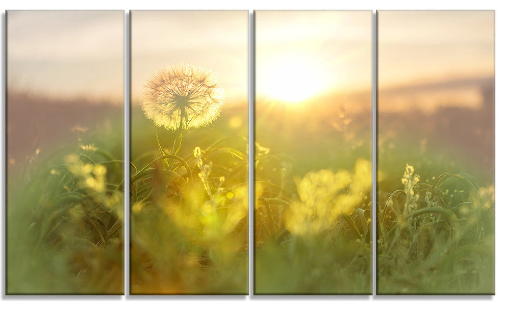 Dandelion Blooming Flower in Field, Floral Canvas Art Print, 48"x28", 4 Panels
