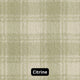 Pastel Colors 3/8 Thick Indoor Area Rug Carpet, Citrine, 5x7