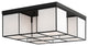 Livex 49625-04 5-Light Ceiling Mount, Black