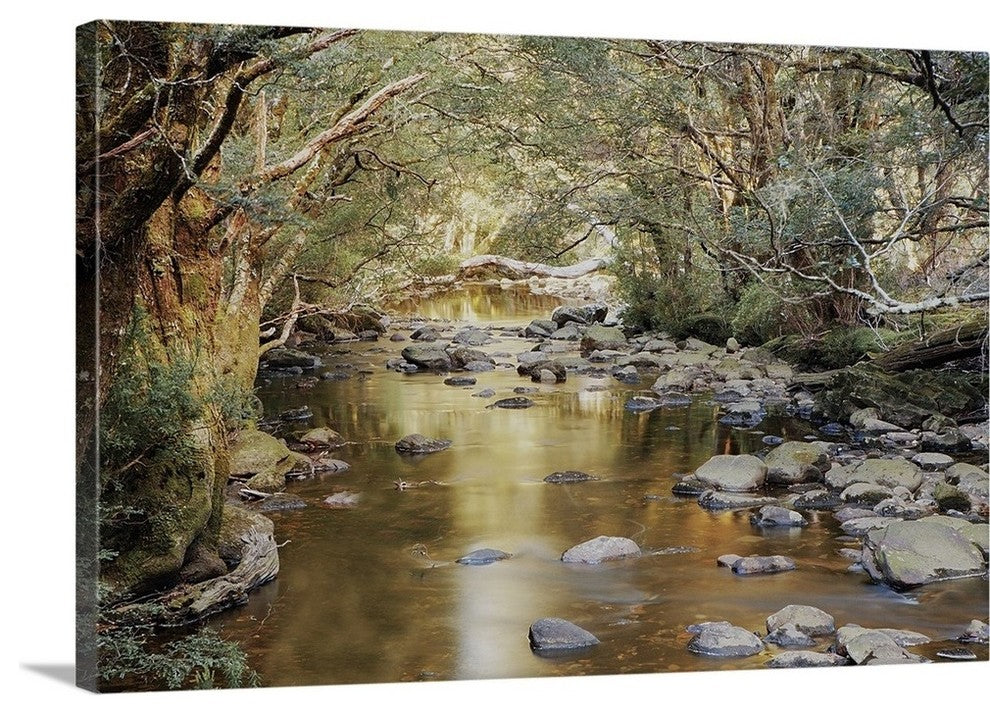 "Enchanted Stroll" Wrapped Canvas Art Print, 36"x24"x1.5"