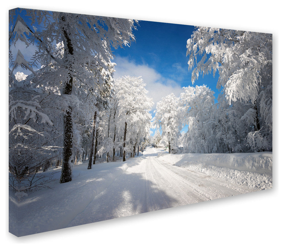 Philippe Sainte-Laudy ''Going Nowhere'' Canvas Art, 22x32