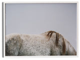 Graze