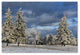 Lois Bryan 'First Snow of the Year' Canvas Art, 32"x22"