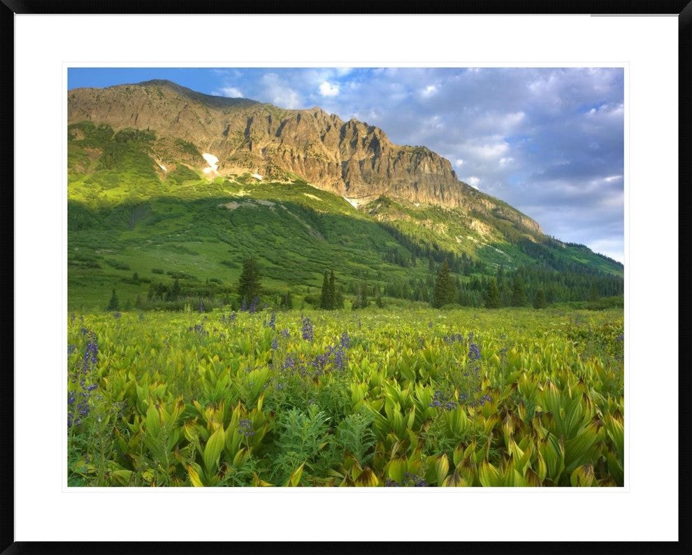 Gothic Mountain Overlooking Meadow Near Crested Butte, Colorado, 38"x30"