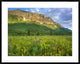 Gothic Mountain Overlooking Meadow Near Crested Butte, Colorado, 38"x30"
