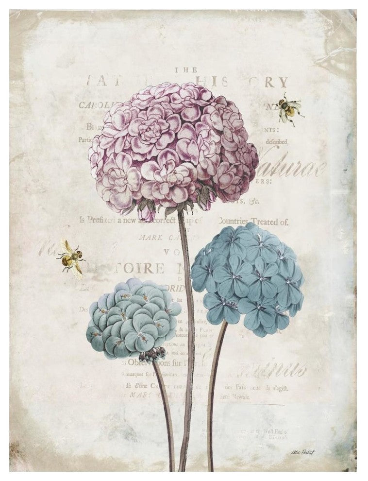 "Geranium Study I Pink Flower" Digital Paper Print by Katie Pertiet, 38"x50"